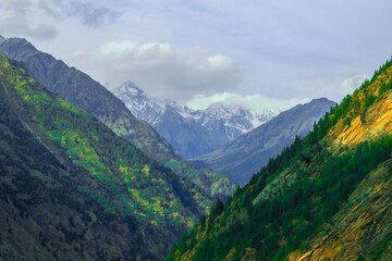 landscape in the summer