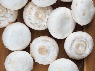 신선한 유기농 양송이 버섯