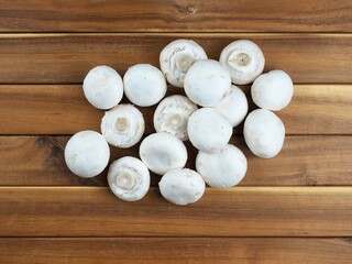 신선한 유기농 양송이 버섯