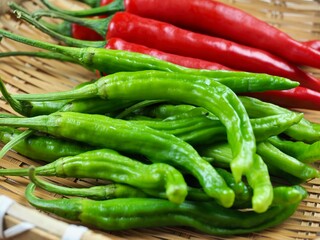 신선한 유기농 채소 녹색 꽈리고추