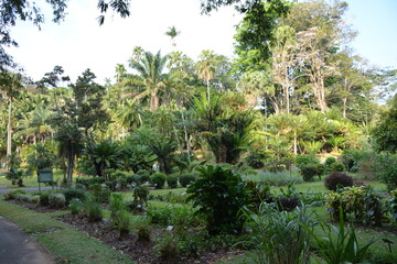 Fototapeta premium travel