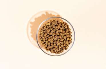Dry food in a transparent bowl for cats and dogs on a beige, peach background