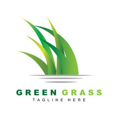 Green Grass Logo Design, Farm Landscape Illustration, Natural Scenery Vector