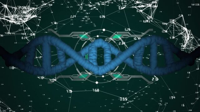 Animation of dna, connecting dots with hud processing on digital interface