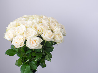 Beautiful bouquet of white blooming roses in glass vase on the white wall background. White flowers, close up. Floral still life. Copy space. Rose hybrid tea Avalanche.