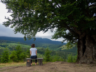 Fototapeta na wymiar Back view of young woman in white t-shirt and blue jeans admiring breathtaking view while sitting on bench in the mountains. Female in casual clothes sits under large tree with forest background.
