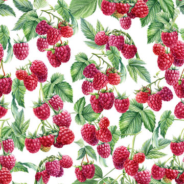 Seamless pattern with branches raspberries, watercolor illustration