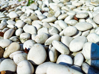 Smooth Round Pebbles Small Rocks on The Ground