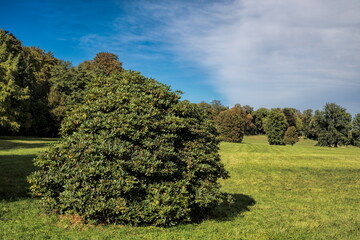 bad muskau, deutschland - grüne idylle im stadtpark