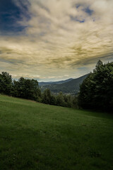 Mountain forest on a summer day