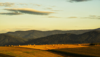 Summer in a mountain village © Mariusz