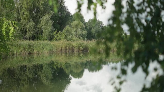 An old abandoned lake outside the city. A warm summer and windless day. The camera descends smoothly. Beautiful landscape. Trees and bushes on the shore. Lots of greenery.