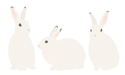 Obraz na płótnie Canvas Vector illustration of white rabbits isolated on background.