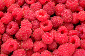 Red fresh juicy raspberries background.