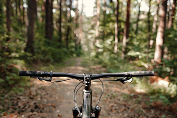 The handlebar of a mountain bike with a first-person view, on the road on a forest trail.
