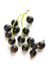 Black currants with leaves isolated on white background with clipping path