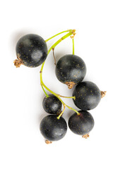 Black currants with leaves isolated on white background with clipping path