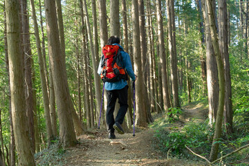 Fototapeta premium 一人で登山する男性の後ろ姿