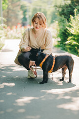 Black french Bulldog Puppy cuddling up with owner girl laying on lawn in park outdoors summer spring day kissing hugging petting. Happy woman with dog outside