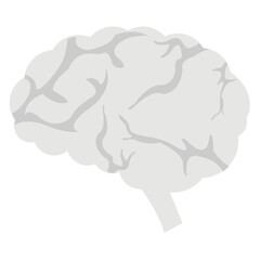 Human Brain
