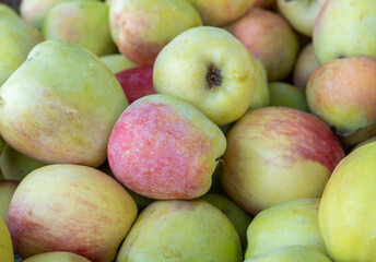 Green red new apples  for sale at city market
