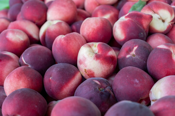 New harvest nectarines for sell at the city market