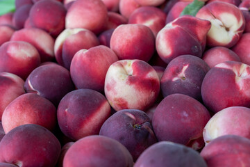 New harvest nectarines for sell at the city market