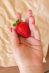 Fototapeta premium One red strawberry in woman hand