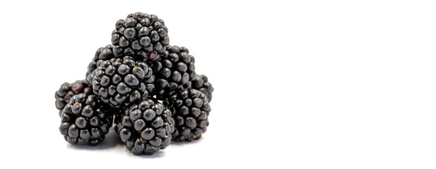 Black mulberry isolated on white background. Fresh and juicy black mulberry. Organic food. Copy space. Space for text