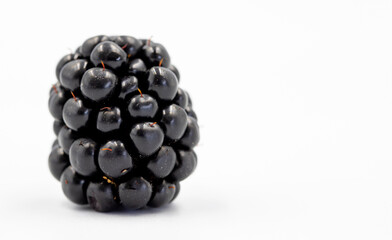Black mulberry isolated on white background. Fresh and juicy black mulberry. Organic food. Copy space. Space for text