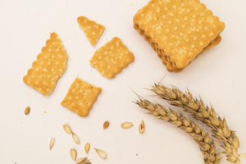 Cereals and grains on a white background, wheat spikelets