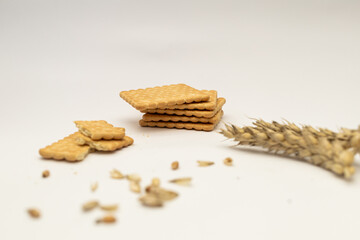 Cereals and grains on a white background, wheat spikelets