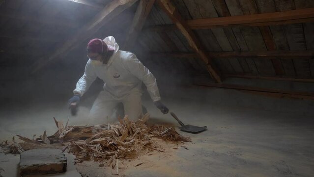 Worker Cleaning Up Wood Dust After Removing The Framework of Dead Wood During Renovation
