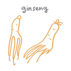 Ginseng. Vector outline icon on white background.
