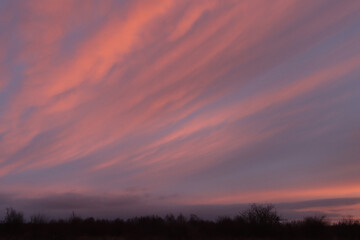 Fototapeta na wymiar Morning sunrise and clouds.