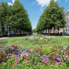 recreational park Bordeauxplatz, munich city district haidhausen, with tree alley and flower bed