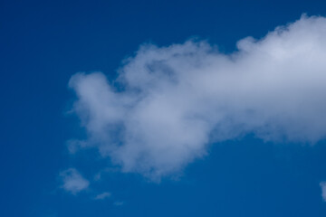 white clouds in the blue sky. cumulus.
