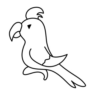 recommend clip art: Black and white parrot Ara outline on a white background. Vector doodle illustration