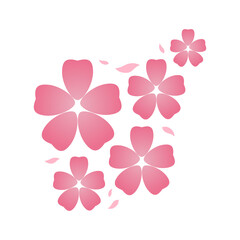 Pink sakura flowers with petals japanese style on white background flat vector icon design.
