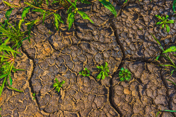 Cracked earth, metaphoric for climate change and global warming