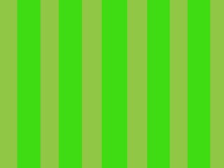 Fototapeta premium Stripes background with two green colors
