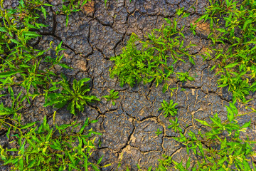 Cracked earth, metaphoric for climate change and global warming