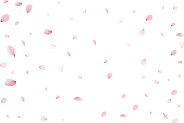 Fototapeta na wymiar Sakura petals