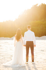 Fototapeta premium Newlyweds in love holding hands at sunset. Back view