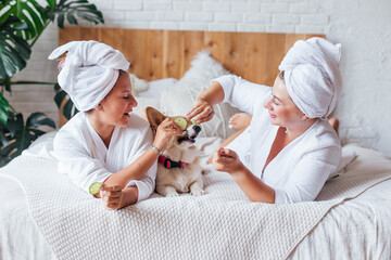 Mom and daughter have fun wrapped in white bath towel, spend spa day at home, making face mask, applying cucumber slices to eyes, playing with their dog. Concept beauty salon, wellness spa, skin care