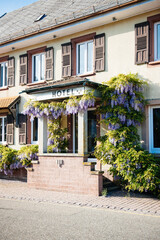 Old hotel entrance with signage above and flowers in bloom wisteria plants