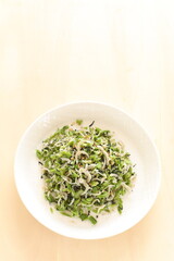 Japanese food, dried small fish and green leaves vegetable for rice topping Furikake