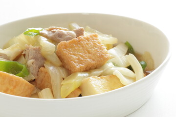 Chinese food, braised Tofu and pork with Chinese cabbage