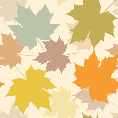 Seamless pattern of autumn bright maple leaves on a light background.