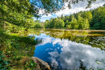 Fototapeta na wymiar Wiele - village in Pomeranian Voivodeship, Poland. Cieple lake.